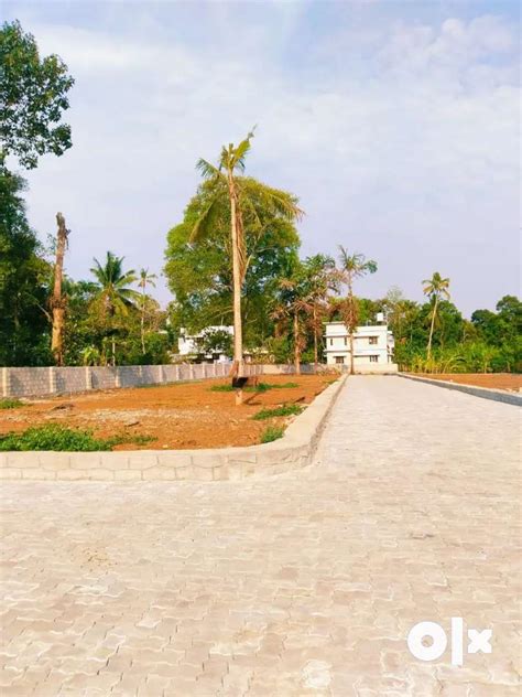 15 CENT RESIDENTIAL HOUSE PLOT LAND FOR SALE AT PALLIKKARA Lands