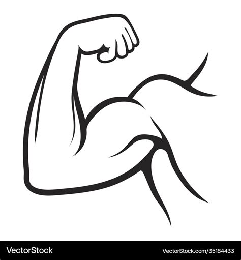 Muscular Arm Strong Man Bodybuilder Biceps Vector Image