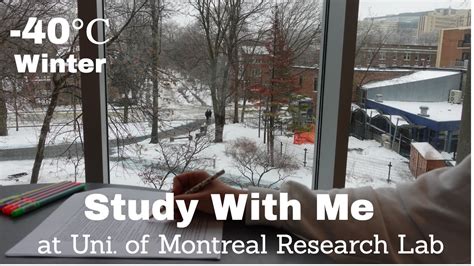 2 Hours Study With Me At Montreal Uni Research Lab Real Time Chill