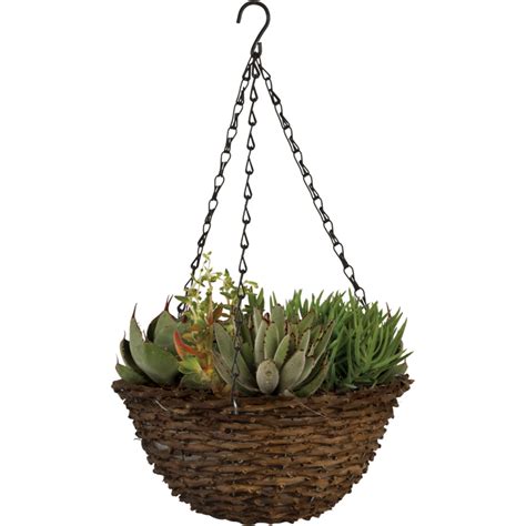 Woodland 12 In Round Hanging Planter With Chain Pride Garden Products