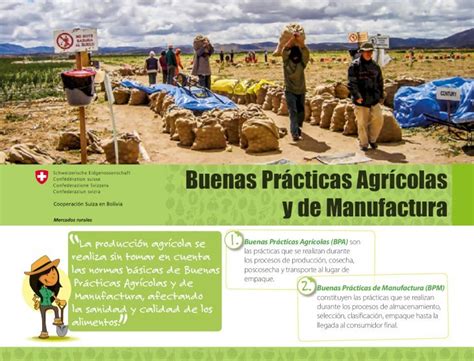 Pdf Buenas Prácticas Agrícolas Y De Manufactura Buenas Prácticas