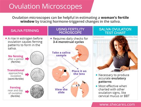 Ovulation Microscopes Shecares