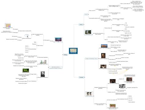 Anthropology Mind Map