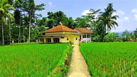 BIKIN RINDU Pulang Kampung Suasana Pagi Yang Tenang AIR UDARANYA