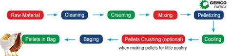 Exploring Poultry Feed Types And Cutting Edge Processing Techniques