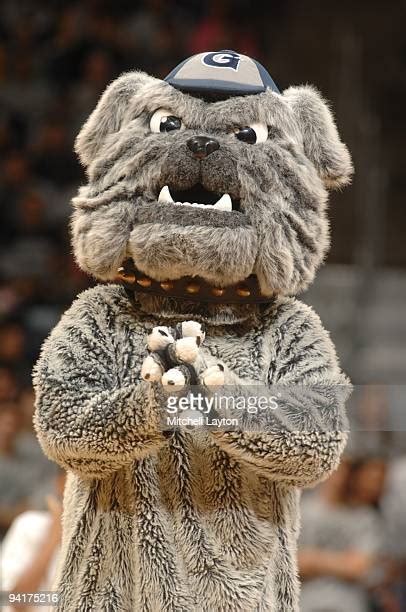 Georgetown University Mascot Photos and Premium High Res Pictures ...