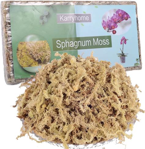 Amazon 5OZ Sphagnum Moss For Plants Natural Moss For Potted