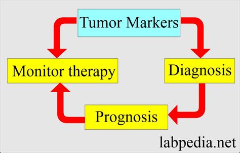 Tumor Marker Chart Hot Sex Picture