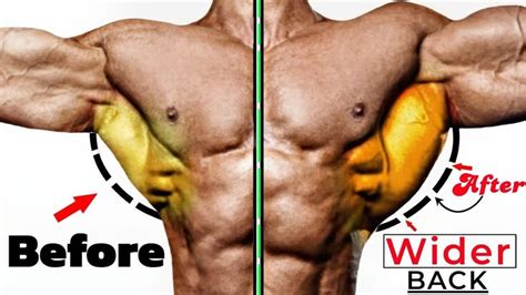 8 Best Exercises To Build Wider Back Back Workout In 2024