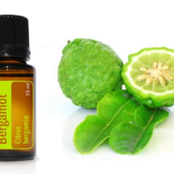 Bergamot Essential Oil Bliz Wellness