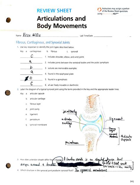 Free Labeling Of Body Movements Anatomical Planes Of The Body