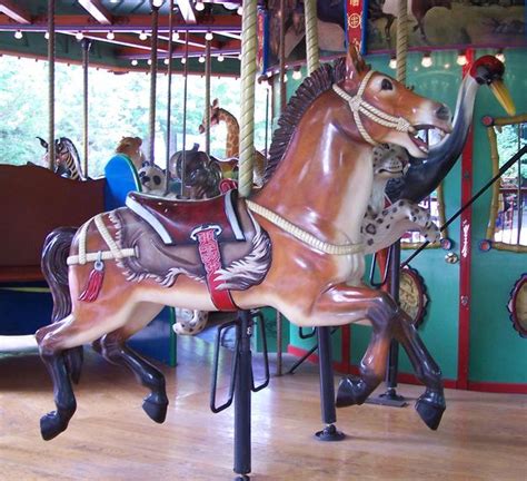 Memphis Zoo Carousel Outside Row Przewalski Horse © Bette Sue Gray