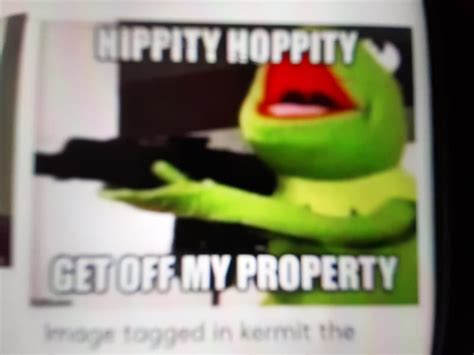 93 Kermit Background Meme - MyWeb