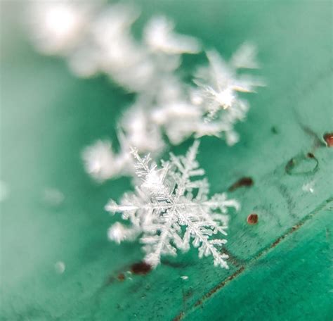 Premium Photo Close Up Of Snowflakes On Green Table