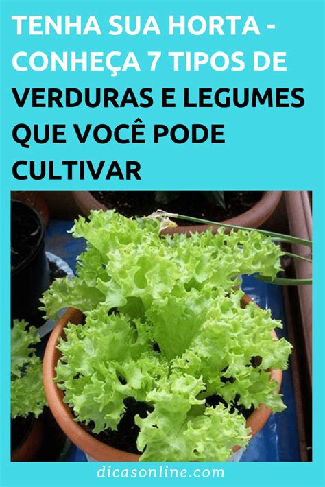 7 Verduras E Legumes Que Você Pode Cultivar Em Casa Mesmo Com Pouco