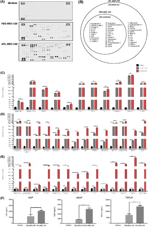 Profiling Comparison Of Secretory Proteins In Fbs Msc Cm And