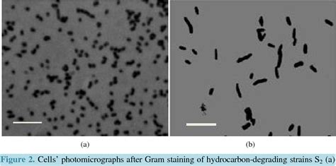 Figure From Isolation And Characterization Of Hydrocarbon Degrading