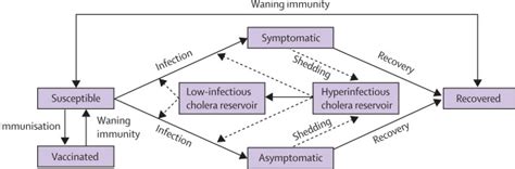 Transmission Dynamics And Control Of Cholera In Haiti An Epidemic