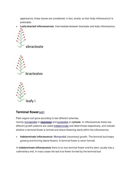 Types of inflorescence