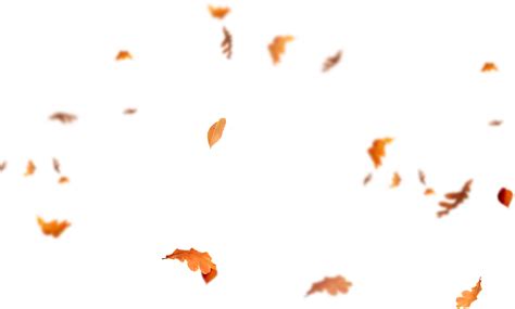 Download Download Falling Leaves Png Images - Flying Autumn Leaves Png ...