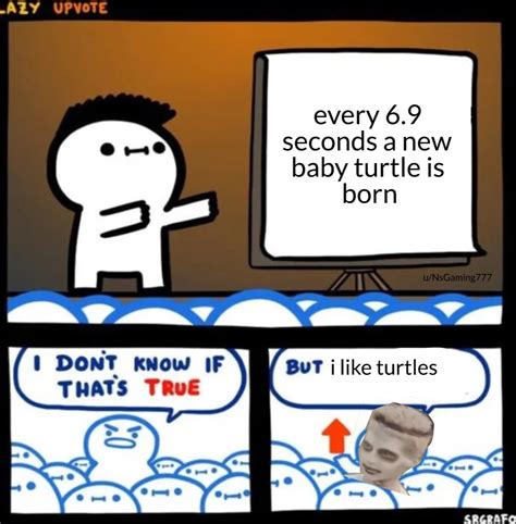 Jonathan Likes Turtles Nice R Wholesomememes Wholesome Memes