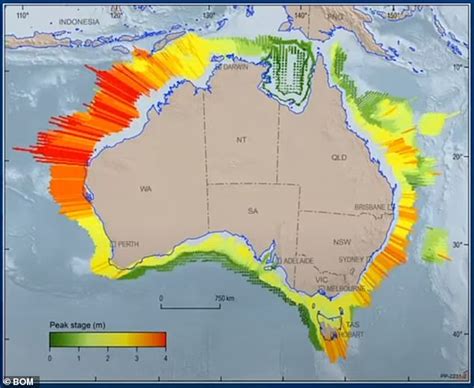 Australia Tsunami 2024 - Lois Sianna