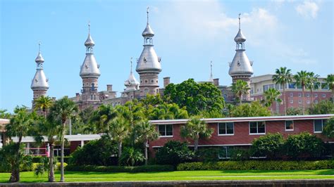 University Of Tampa Professor Arrested