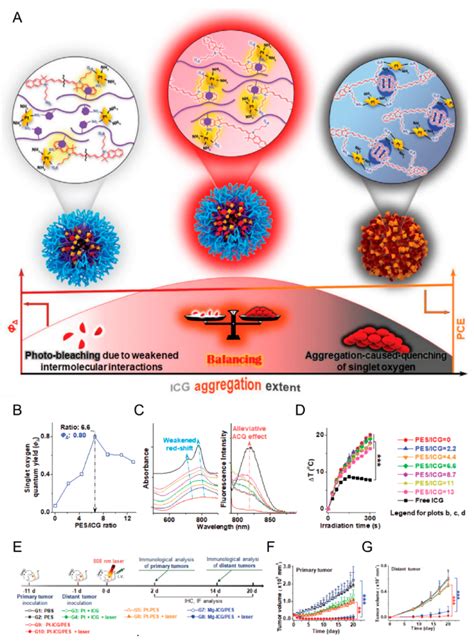 Schematic Representation Of Discretely Integrated Nanoconstructs For