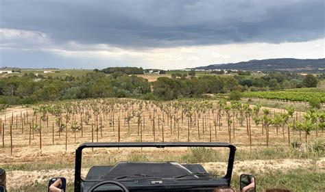 Weinproben Rund Um Barcelona Mein Erfahrungsbericht