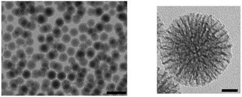 Molecules | Special Issue : Mesoporous Silica in Biomedical Applications