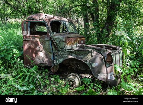 Vehicle Trees Hi Res Stock Photography And Images Alamy