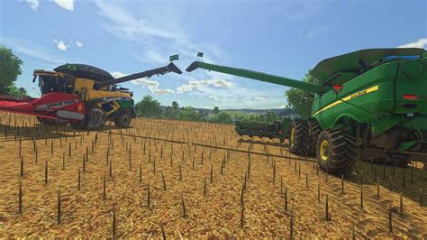 FINALIZAMOS A PRIMEIRA COLHEITA DE GIRASSOL NA FAZENDA SINO FARMING