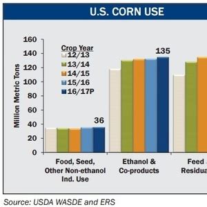 USGC Releases Corn Sorghum Harvest Quality Reports Biomass Magazine