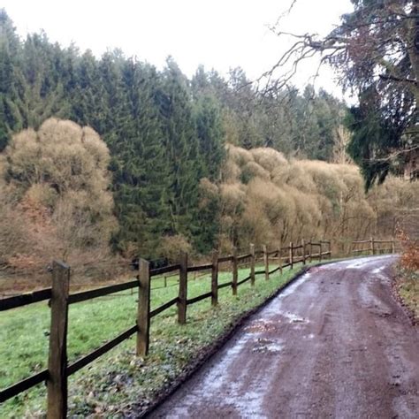 Wandern Pf Lzer Rundwanderung Mit Einkehr Gastst Tte Wild