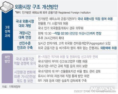 그래픽 외환시장 구조 개선 방안외국 금융기관도 국내 투자 네이트 뉴스