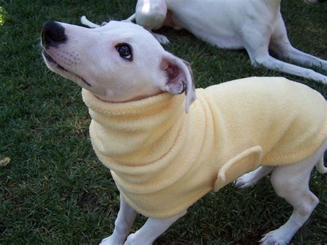 Whippet English Style Maize Fleece Dog Coat | Etsy | Fleece dog coat ...