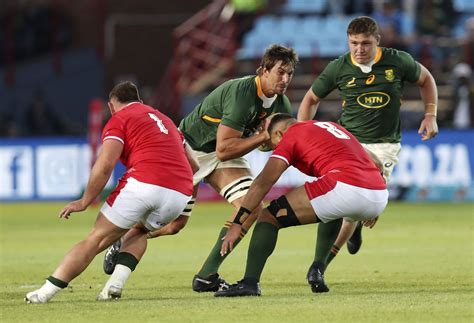 The four strongest candidates for Springbok captain