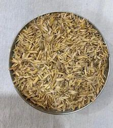 Rice Husk Rice Paddy Husk Wholesaler From Lucknow