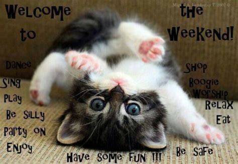 25oct14 Have A Great Weekend Cute Baby Animals Cute Animals