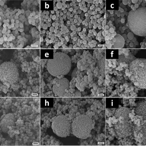 Sem Images Of Amorphous Ac Anatase Df And Rutile Gi Tio