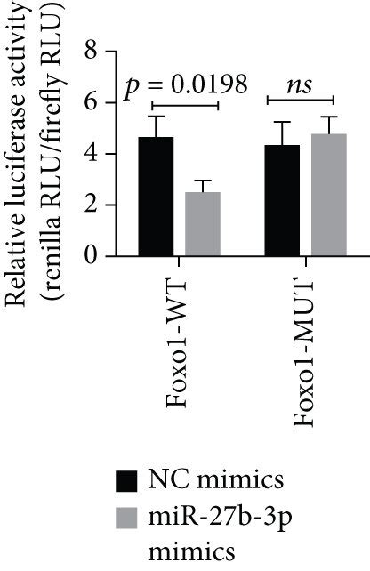 Mir B P In Hypoxic Cmec Derived Exosomes Attenuates H R Induced