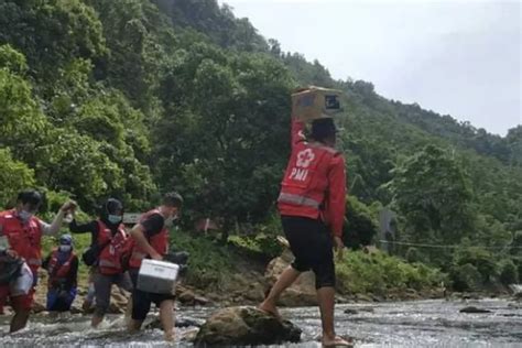 10 Pantun Hari PMI Ke 77 Cocok Sebagai Captions Di Akun Sosmed Aspirasiku