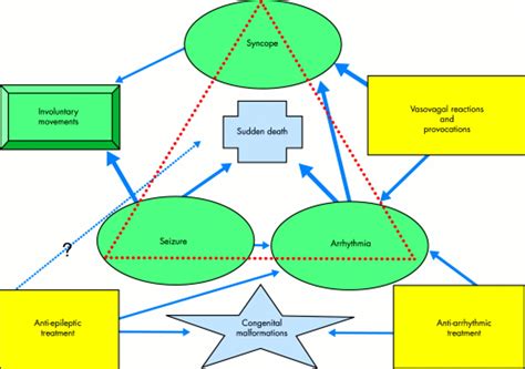 Differential Diagnosis Of Cardiogenic Syncope And Seizure Disorders Heart