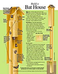 Bat House Plans | Free Bat House Plans