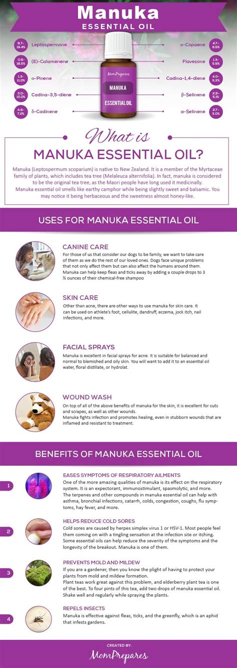 Manuka Essential Oil The Complete Uses And Benefits Guide Manuka