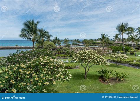 Beautiful Kohala Coast Vista on the Big Island of Hawaii Stock Image ...