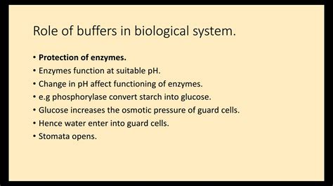 Role Of Buffers In Biological System Youtube