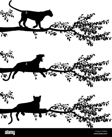 Silhouette leopard tree Cut Out Stock Images & Pictures - Alamy