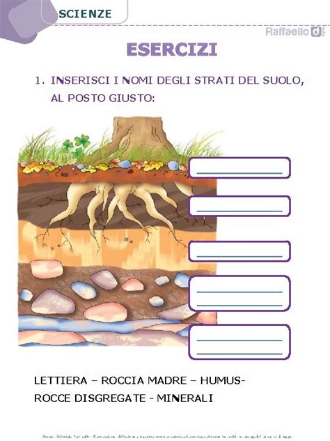 SCIENZE DI ALESSANDRA SPREAFICO SCIENZE IL SUOLO QUANDO