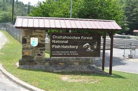 Chattahoochee Forest National Fish Hatchery | Explore Georgia